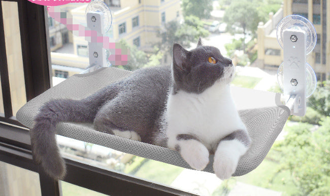 Load image into Gallery viewer, Cat Suction Cup Window Glass Hammock Pet Cat Pets Products
